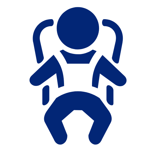 Child Seat Icon